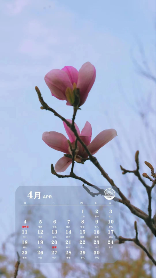 tnu 月历丨四月芳菲,不负春光(2021年4月)